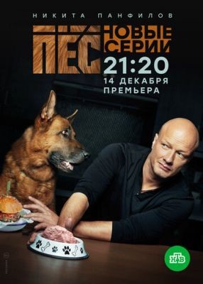 Пес (2020) 6 сезон